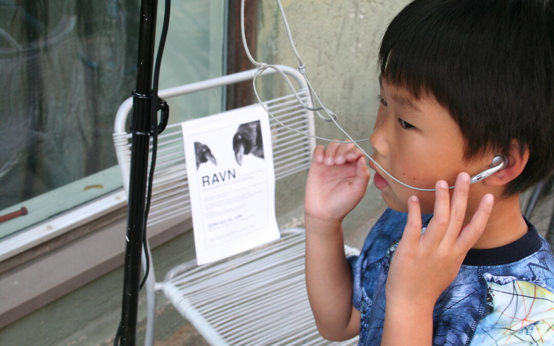 RAVEN/RAVN