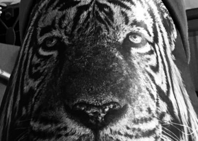 Tiger/Therapy